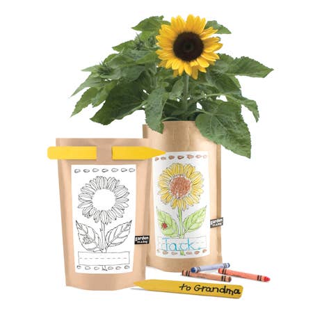 Kids Garden in a Bag | Sunflower | Spring Gift | Best Seller