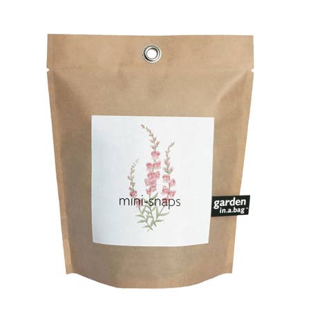 Garden in a Bag Snapdragon | Best Seller |Spring Flower Gift