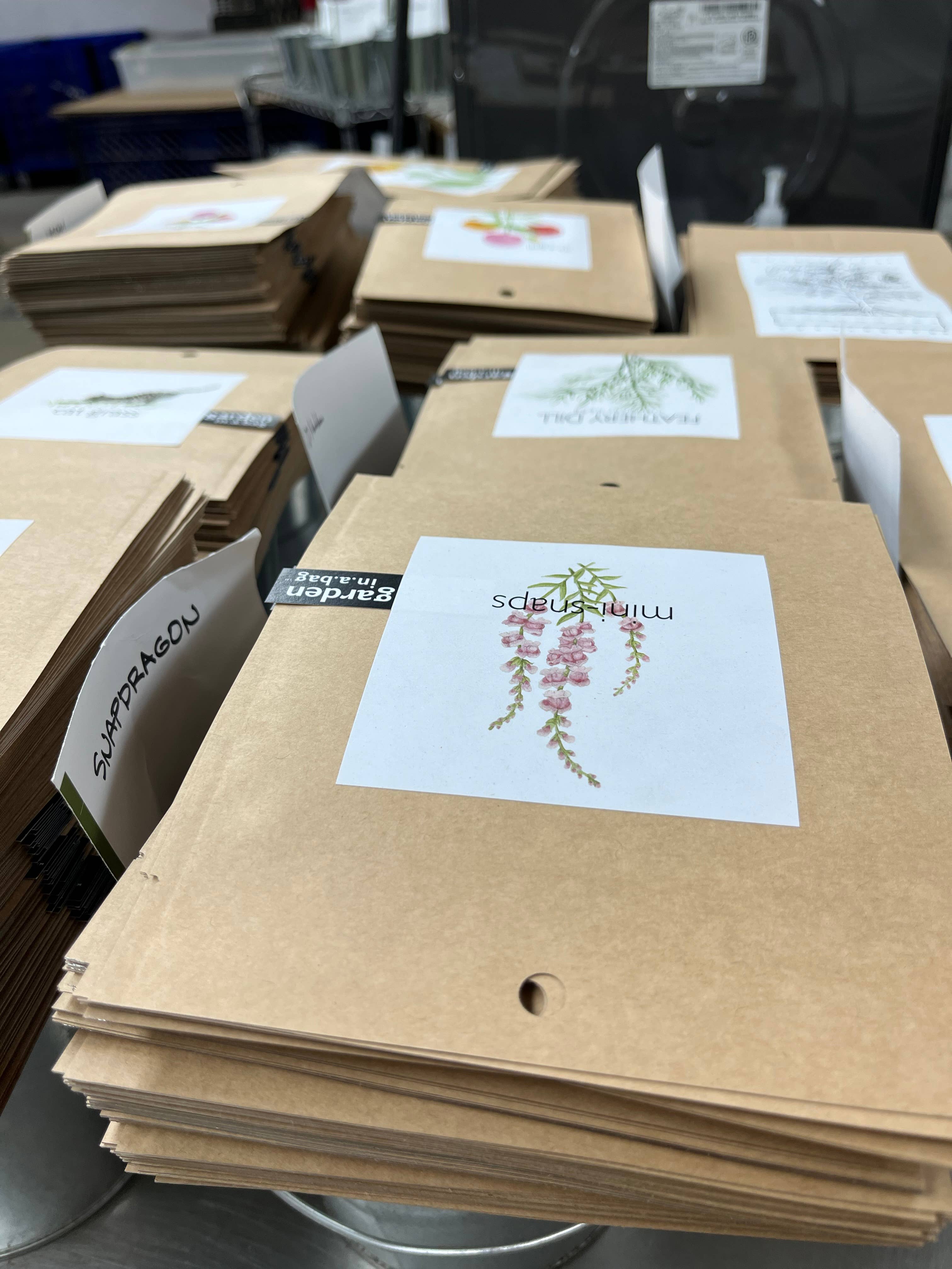 Garden in a Bag Snapdragon | Best Seller |Spring Flower Gift