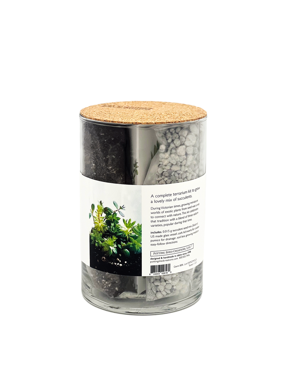 Succulent Terrarium | friendship gift