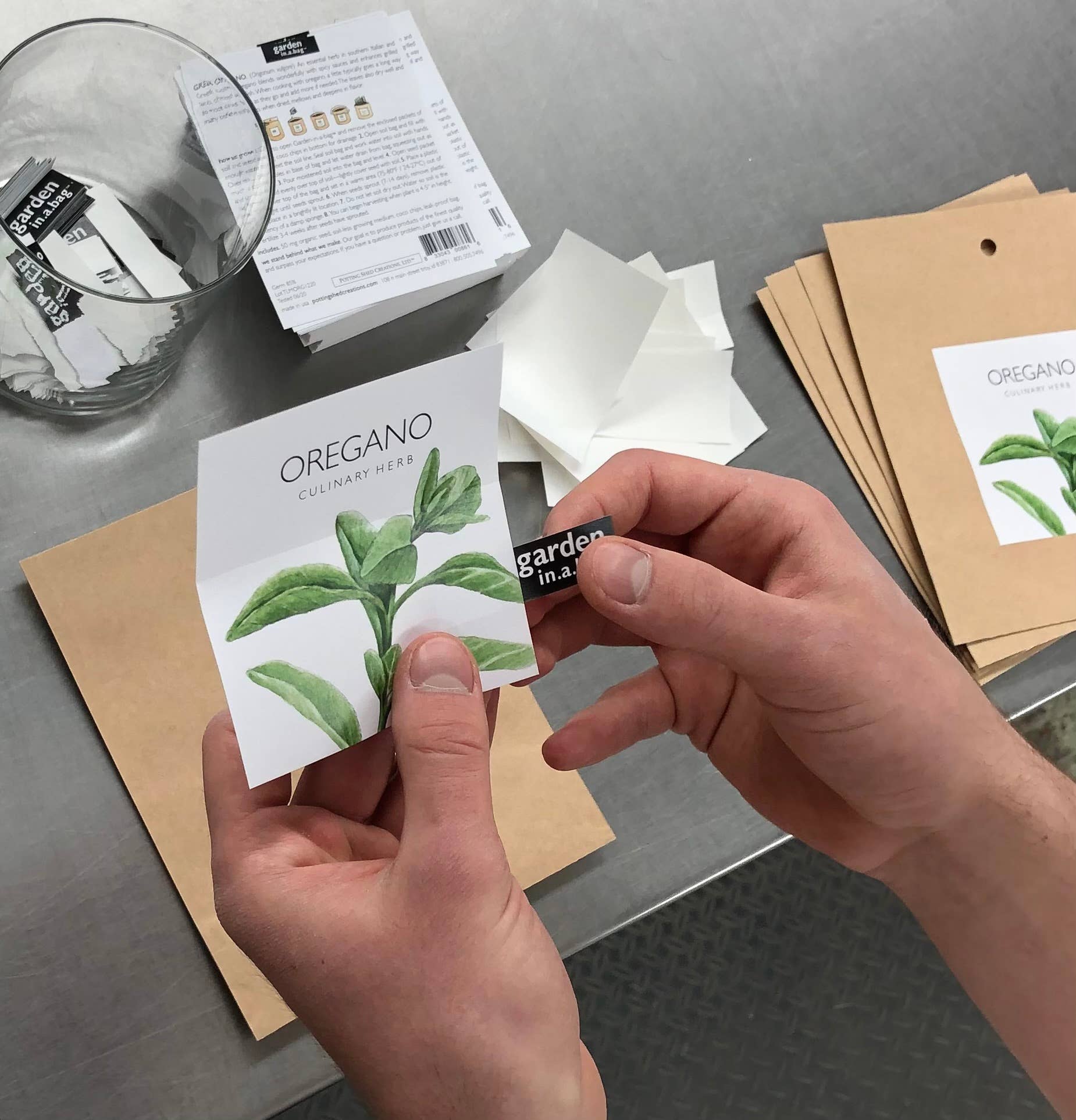 Garden in a Bag Snapdragon | Best Seller |Spring Flower Gift