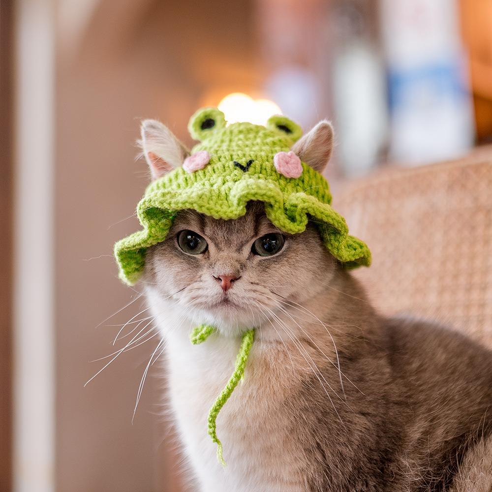 Knitted Frog Cat Bonnet