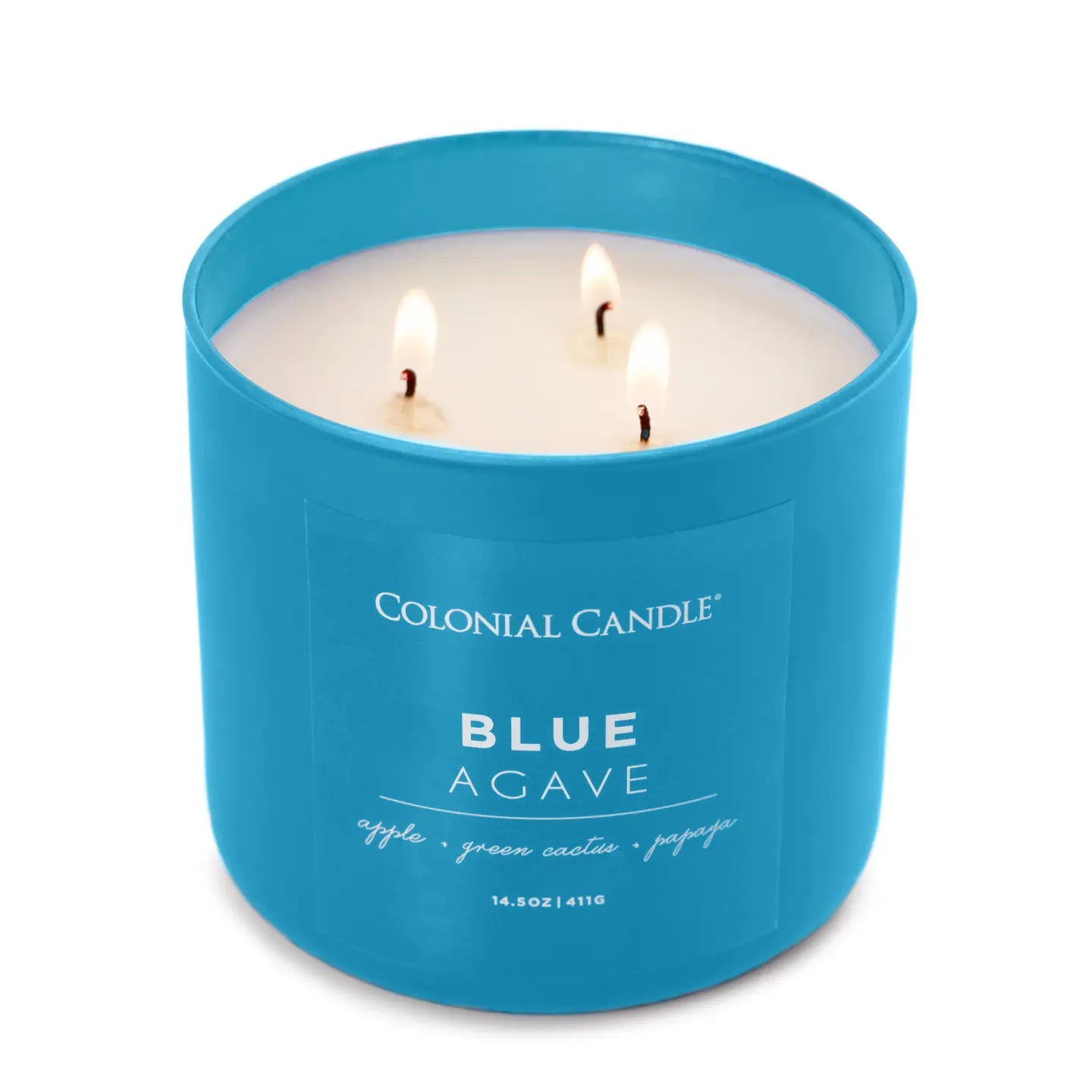 Blue Agave Scented Candle