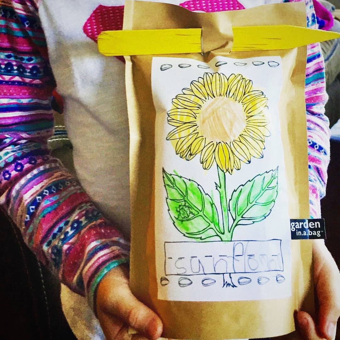 Kids Garden in a Bag | Sunflower | Spring Gift | Best Seller