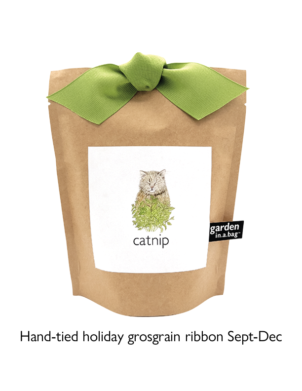Garden in a Bag | Catnip | Spring Pet Treat Gift