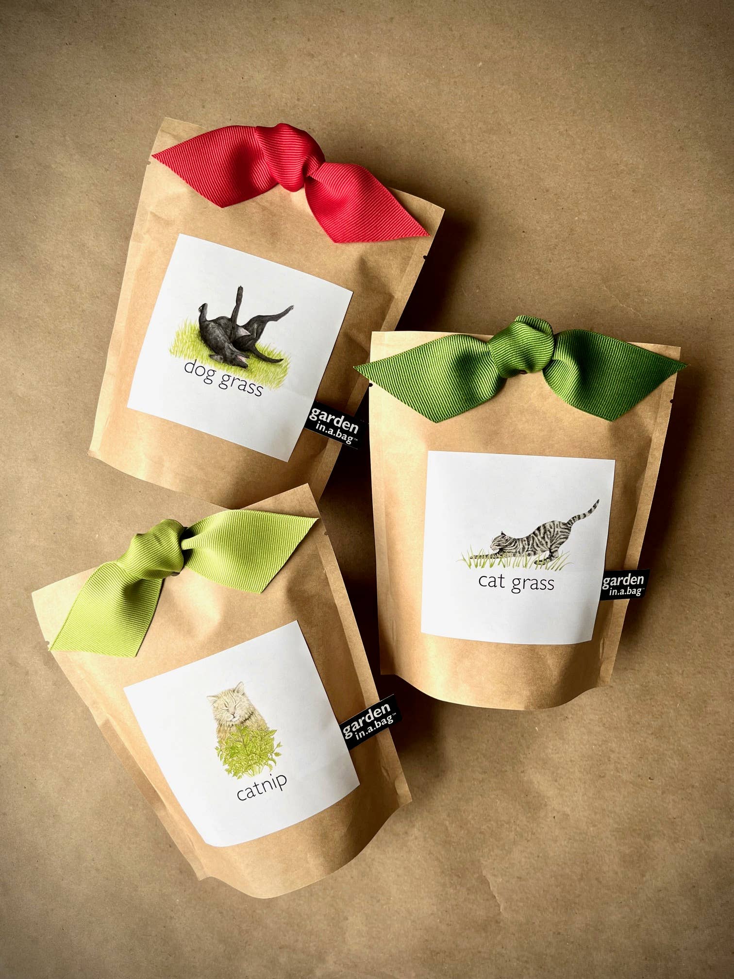 Garden in a Bag | Cat Grass | Pet Treat Gift