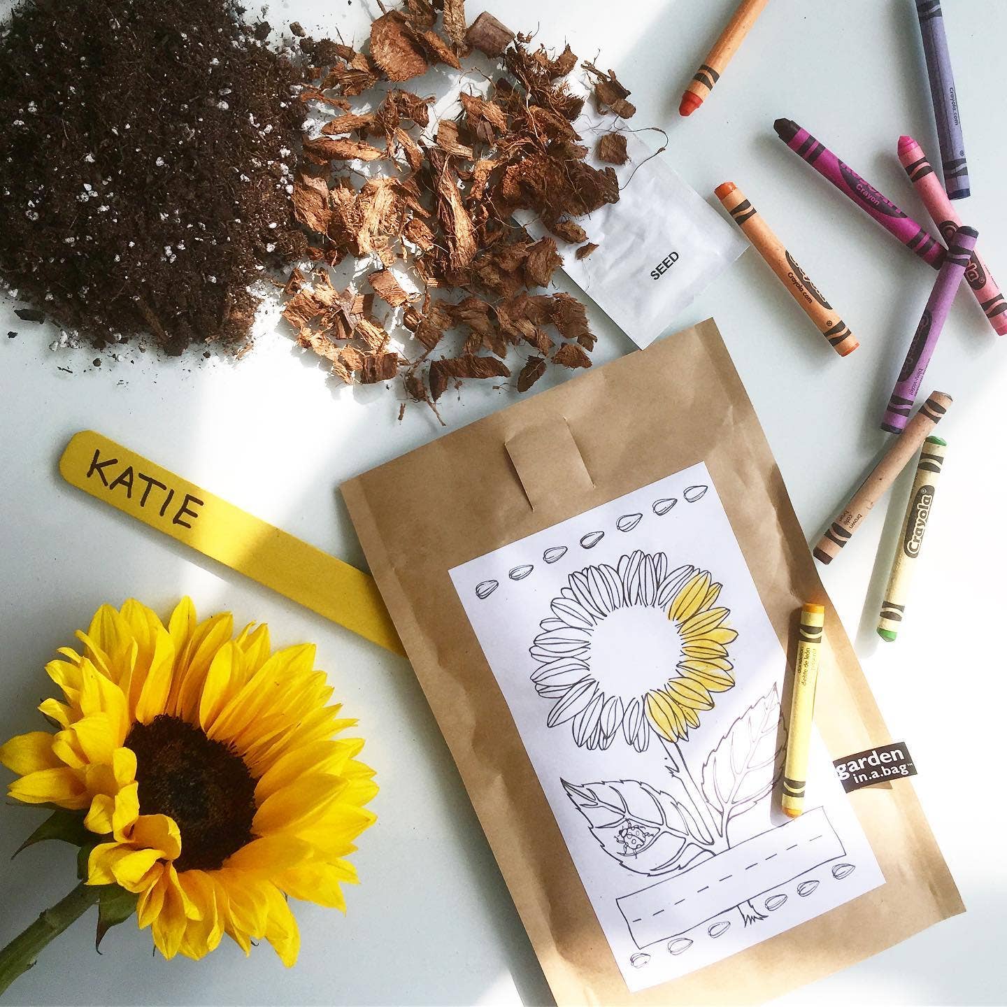 Kids Garden in a Bag | Sunflower | Spring Gift | Best Seller