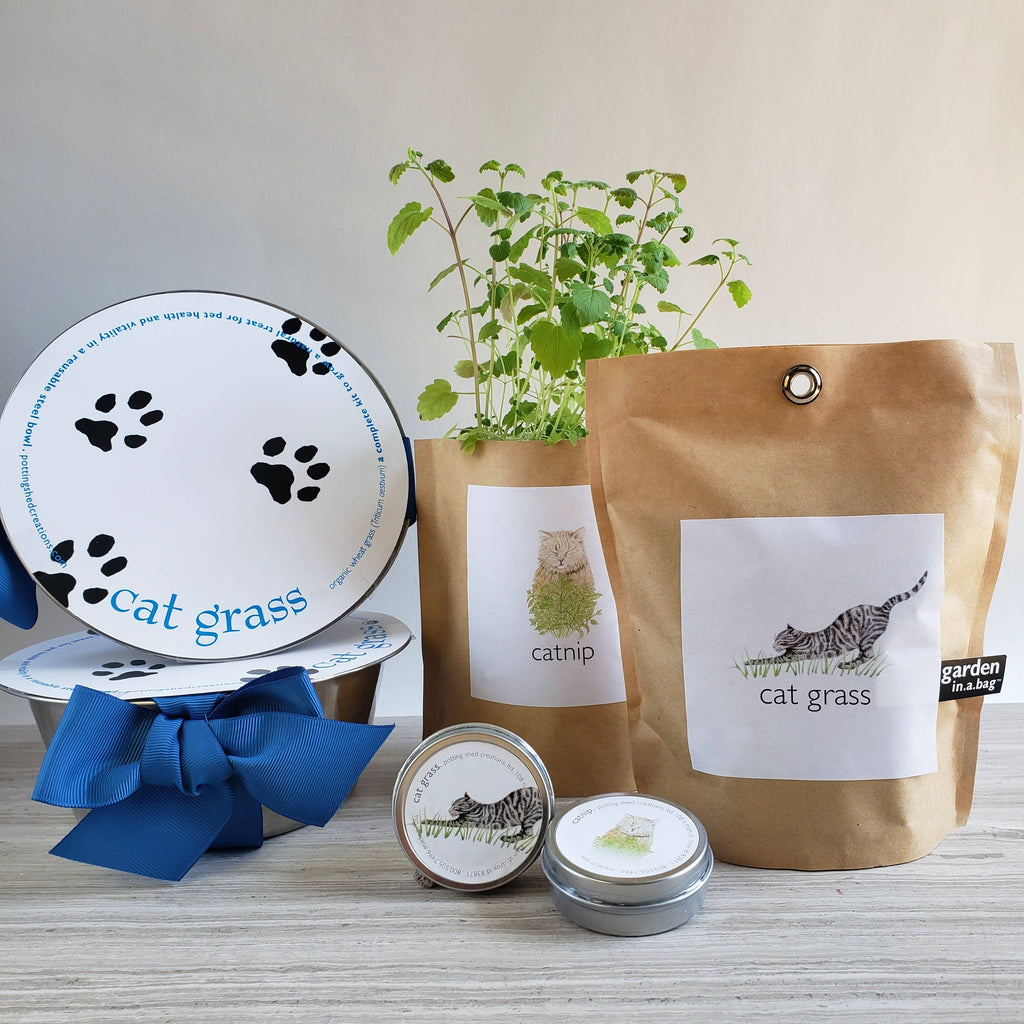 Garden in a Bag | Cat Grass | Pet Treat Gift