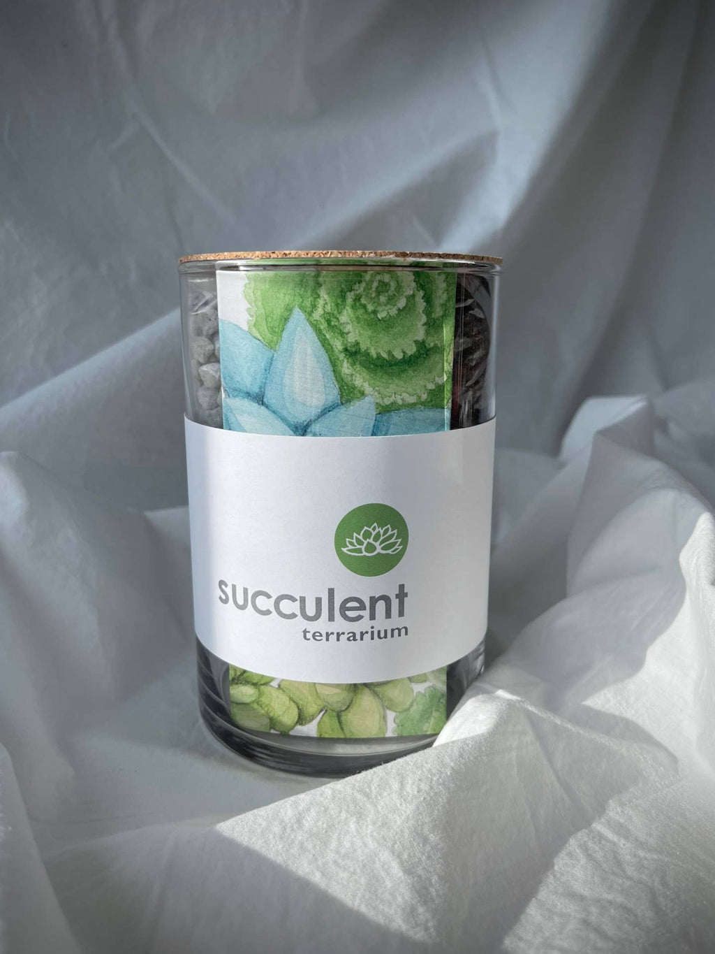 Succulent Terrarium | friendship gift