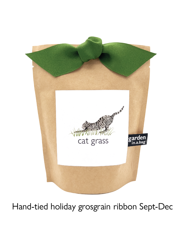 Garden in a Bag | Cat Grass | Pet Treat Gift