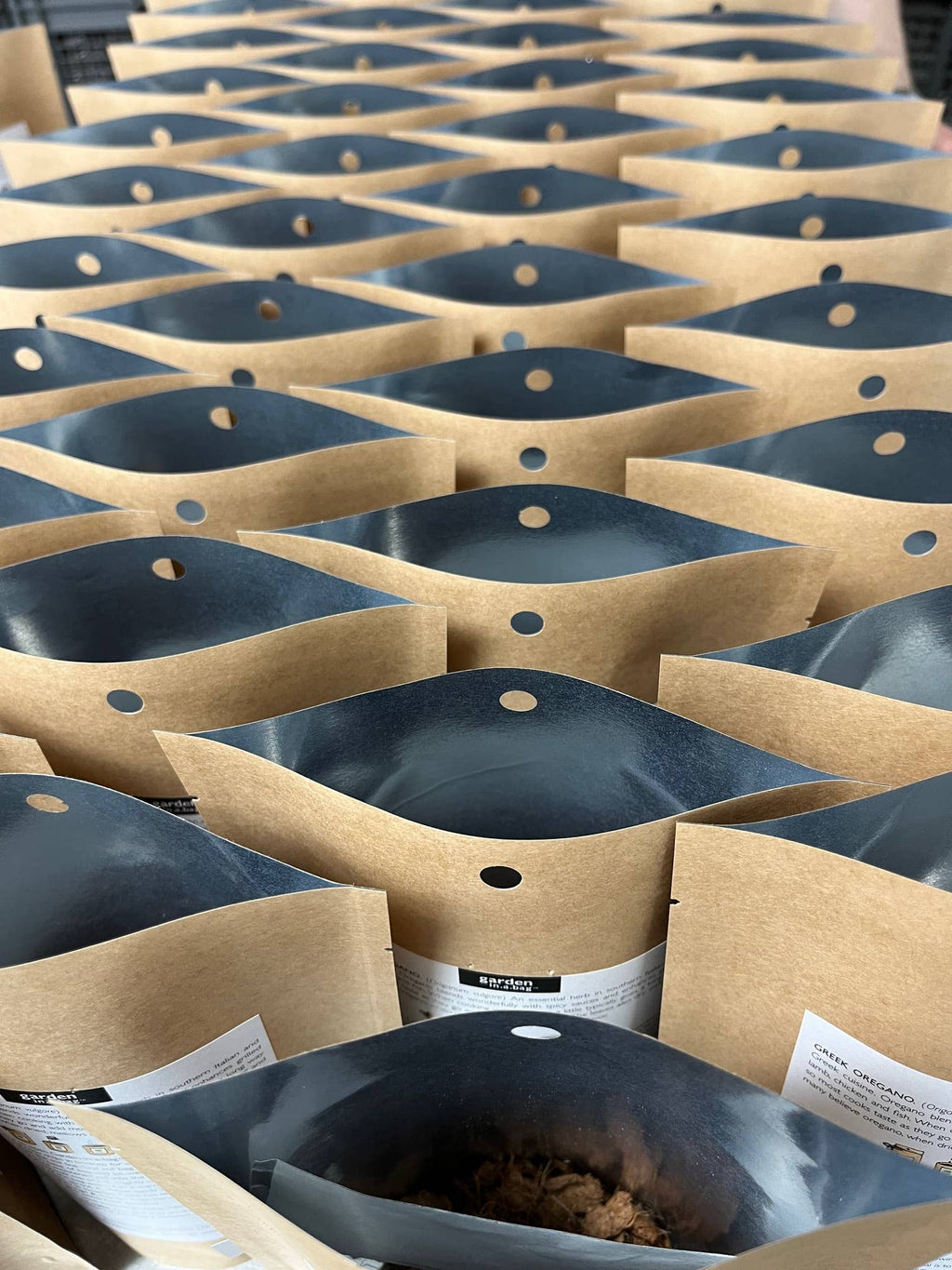 Garden in a Bag Snapdragon | Best Seller |Spring Flower Gift