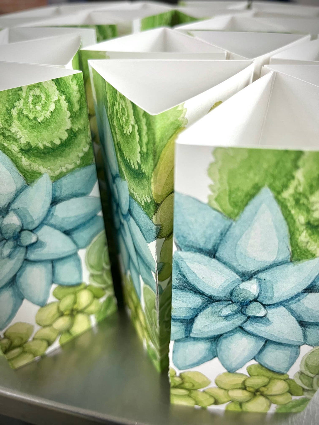 Succulent Terrarium | friendship gift