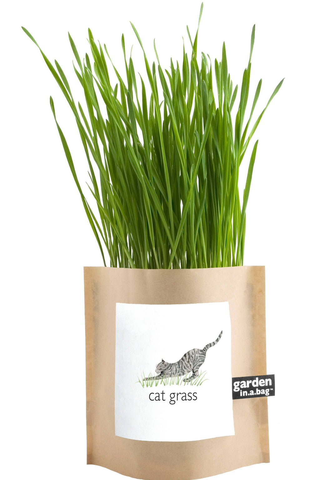 Garden in a Bag | Cat Grass | Pet Treat Gift