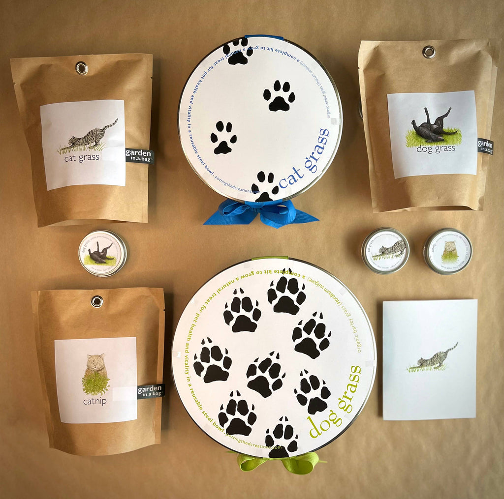 Garden in a Bag | Cat Grass | Pet Treat Gift
