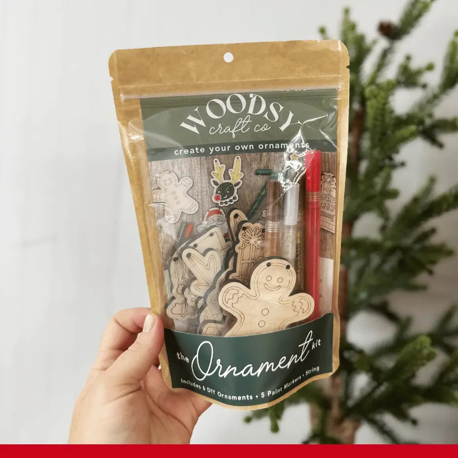 DIY Ornament Kit- Christmas Spirit