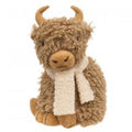 Fluffy Winter Highland Cow